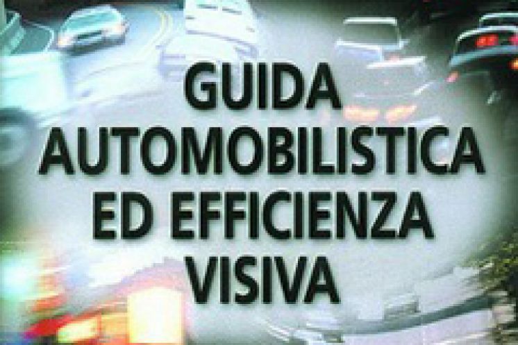Guida automobilistica ed efficienza visiva